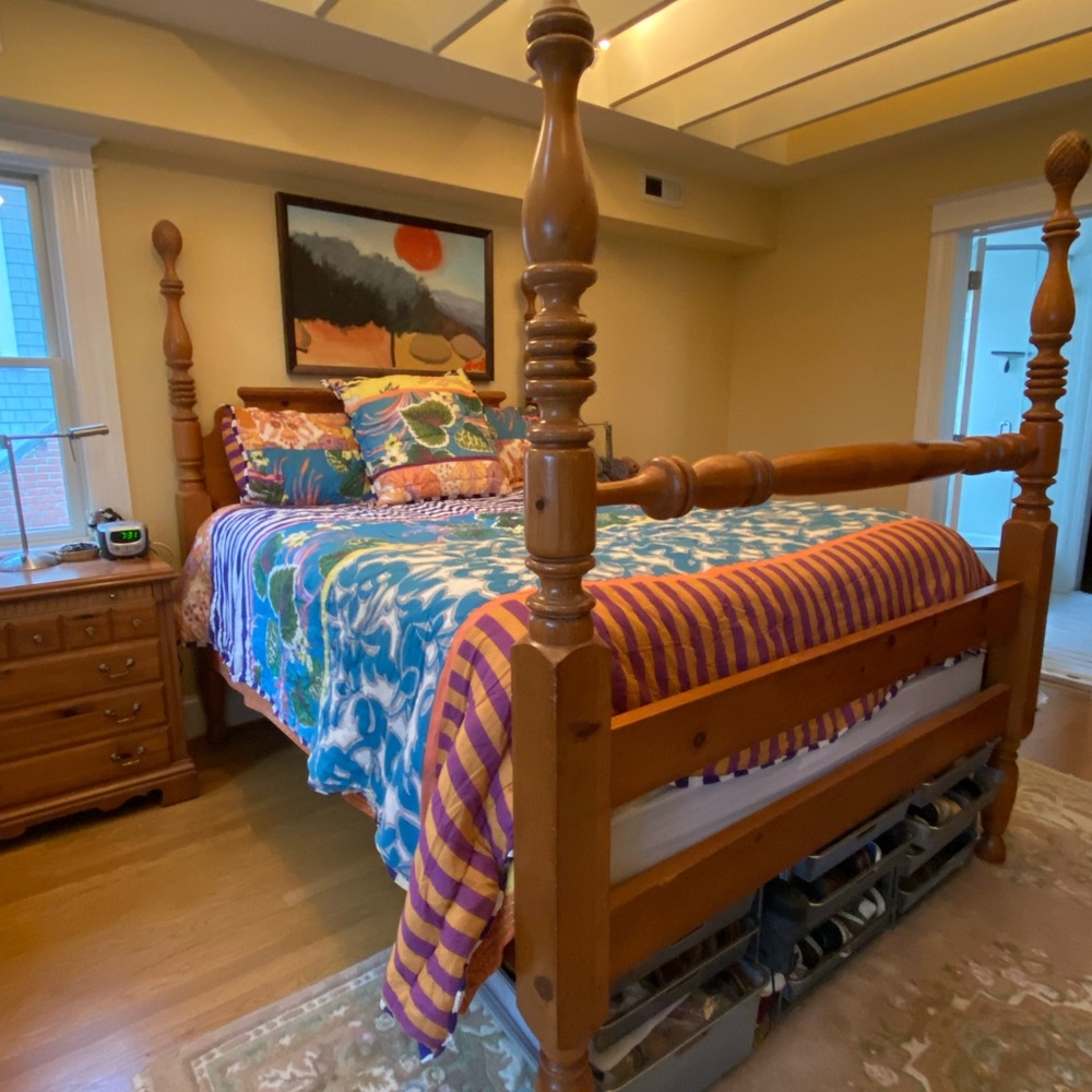 Anthropologie York Hothouse Queen Comforter with 2 Shams and 1 Eurosham